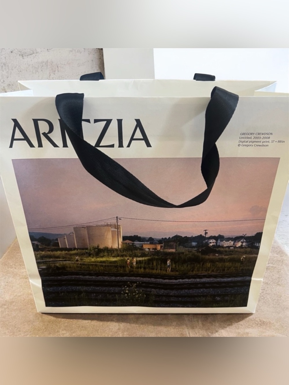 Aritzia Tote with Scenic Landscape and Black Handles
